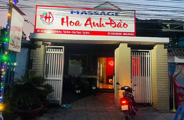 Massage Hoa Anh Đào - Matxa Tây Ninh